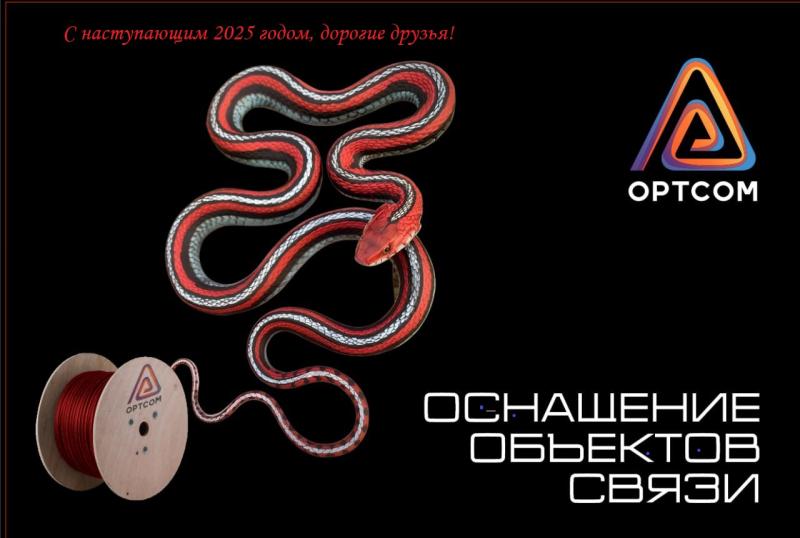 С Новым 2025 годом! 